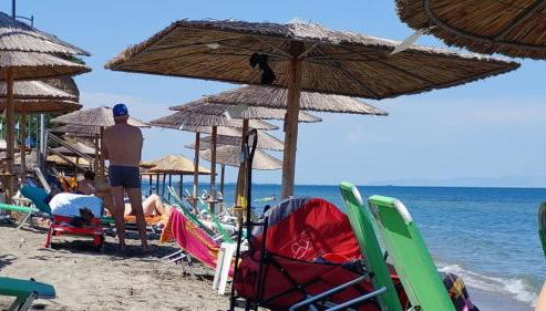 Star Beach Resort - Photo 4