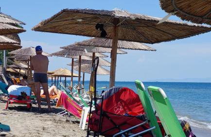 Star Beach Resort - Photo 4