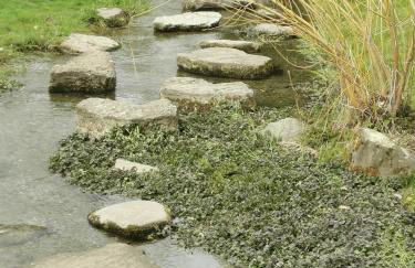 SchlossNest Isny - Denkmal Kultur Park Stadt - Foto 64