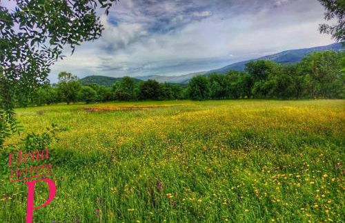 El rincón de los Lanchares - Photo 22