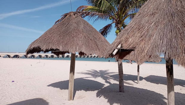 Progreso Day Trip - Foto 5