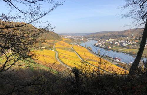 DreiländerOase - Foto 21