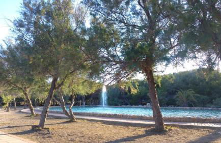 Apartamento entre playa y dunas - Foto 8