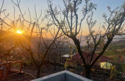 Quinta do Sonho - Foto 36