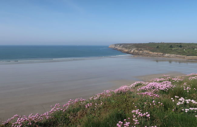 Du Bout du Monde - Foto 33