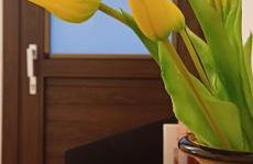 Au Valún - Cà Sutana - Photo 7