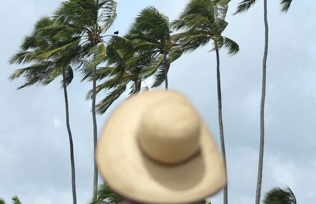 Excursion à la plage de São José da Coroa Grande - Photo 1