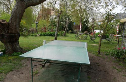 Ferienwohnungen Naschkatze Usedom mit Garten, Ruhe & Blick auf den Wieck in Krummin - Foto 5