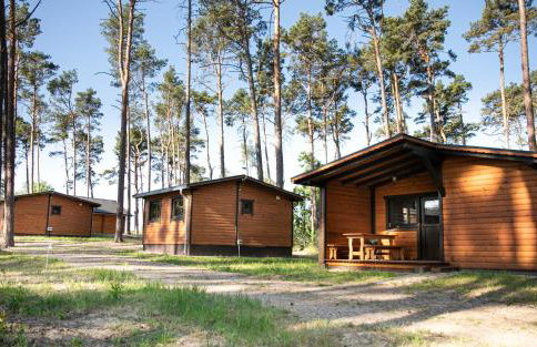 Osada Lubniewice - Domki letniskowe nad samym jeziorem na wynajem 2-8osób - Foto 2