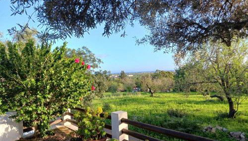 Casinha Serena by east ALgarve guest - Foto 2, Garden view