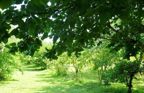 Appartement spacieux à Blaignac avec piscine partagée - Foto 20