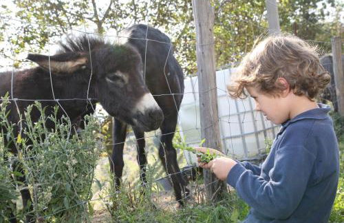 Agriturismo Cantine Bevione - Family Apartments with panoramic view - Foto 52