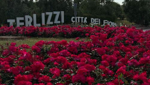 I CAVALIERI - Foto 3