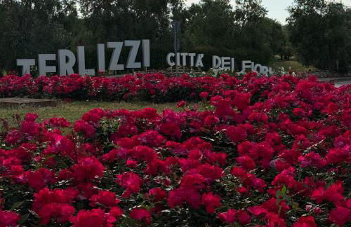 I CAVALIERI - Foto 3