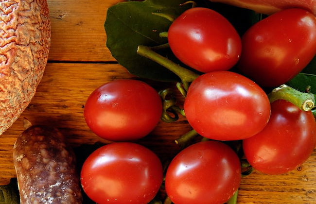 Agrisalotto - Foto 31