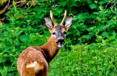 The Studio with Terrace and EV point - Photo 26