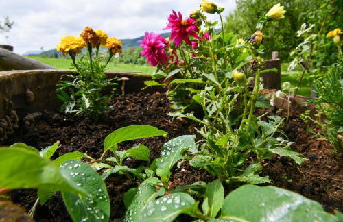 Apartman Jakov - Foto 34