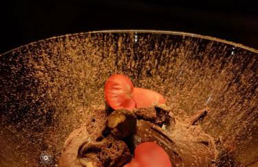 Pousada Recanto - Foto 60