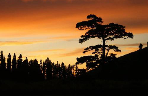 Caserio Los Partidos - Foto 32