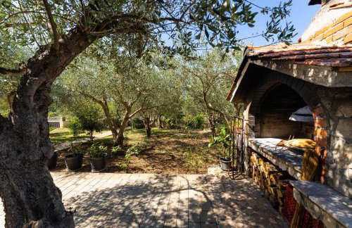 MY DALMATIA - Holiday home Olive Garden with private swimming pool - Photo 40