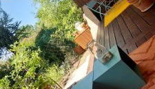 Chez Alexandra - Foto 2