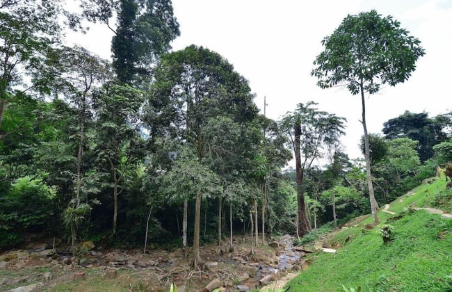 Tanarimba Bentong - Foto 46