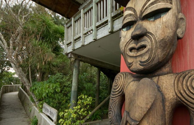 Vida salvaje en Auckland - Foto 6