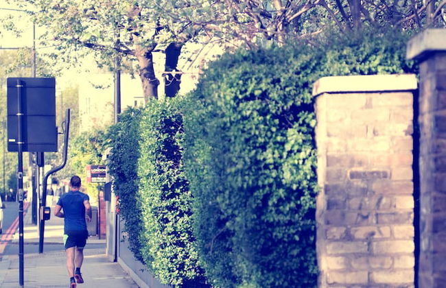 Flat1 Camden Road - Foto 17