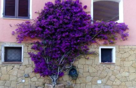 Villa Annalia - Foto 61