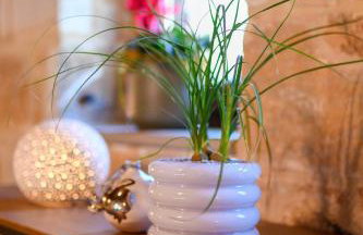 Pinelia Home - Foto 45