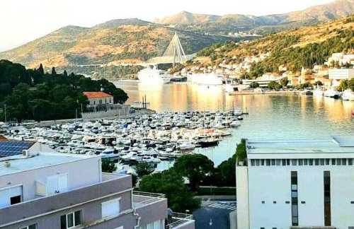 Gorgeous Dubrovnik sea view apartment with free parking - Photo 5