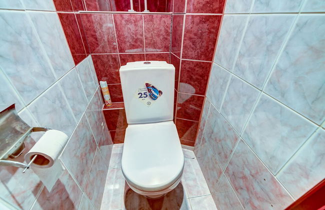 Apartment Vesta on Veteranov - Foto 34