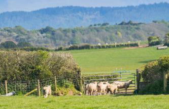 2 Trem Y Mor - Foto 32