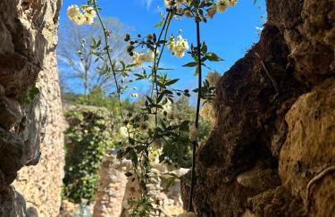 Notre Viree V Studio avec piscine sauna et bassin a remous - Foto 28