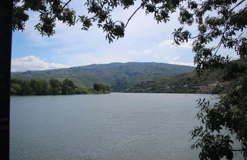 LB Douro - Foto 5
