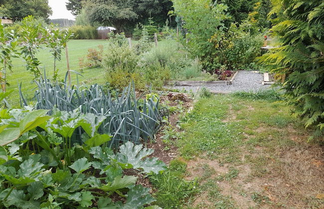 Beautiful and Authentic Cottage - Foto 31