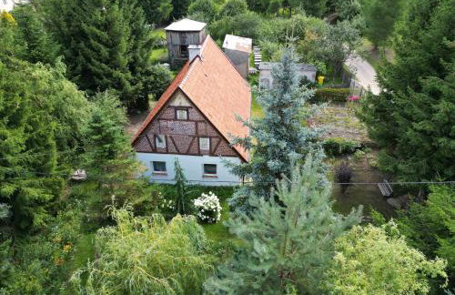 Świerkowe Ranczo Raciszewo - Foto 2