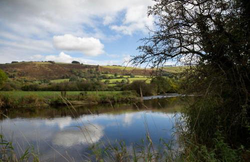 Felin Gogoyan - Photo 27