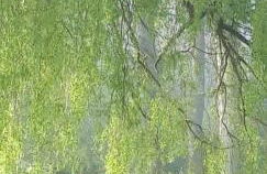 Paul's Farmhouse - Foto 8