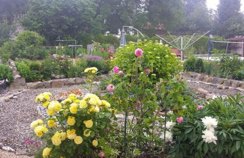 Ruhe auf dem Land 1 - Maria - Foto 19