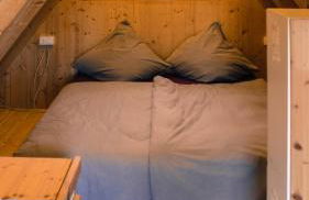 Backhaus Wald - Foto 32