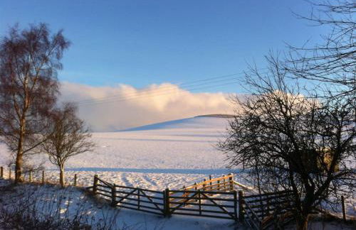 Mrs Moll's Cottage - Foto 16