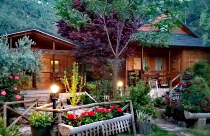 Cabañas los Pinos Arroyo Frio - Foto 68