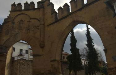 ARCO DE VILLALAR - Foto 16