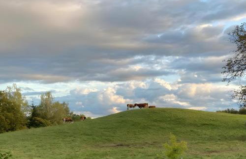 Alpenblick-Steineckhof - Foto 32
