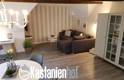 Moderne Ferienwohnung auf dem Kastanienhof Oetzen - Foto 1