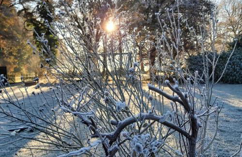 Apartment in upper floor in nature reserve. - Foto 25