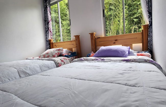 Selvática del Toro - Foto 6