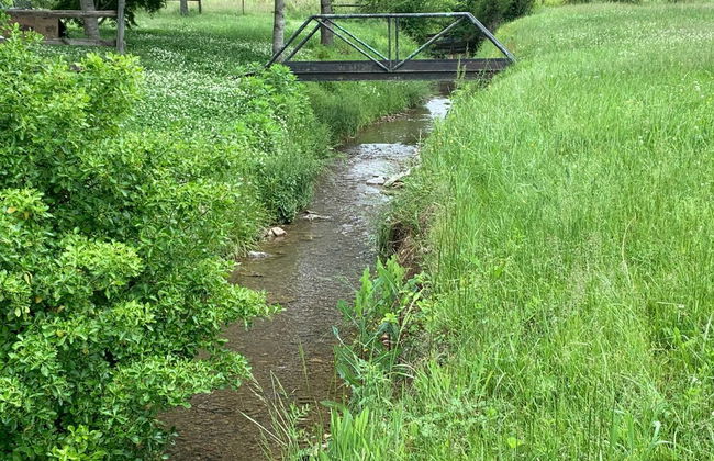 3BR 2bath Gorgeous Country Near Nashville F1 - Foto 5