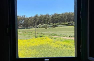 La Macadamia - Foto 16